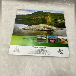 SCENES OF NEW YORK 2026 wall calendar